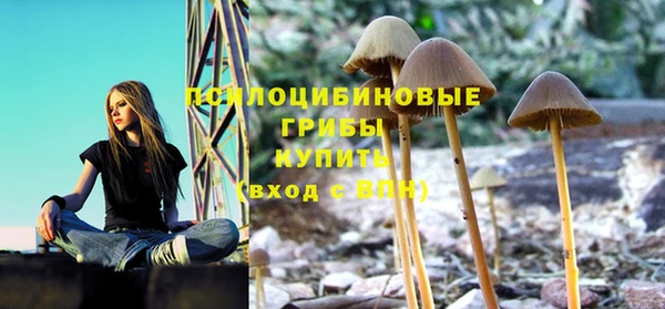 ГАЛЛЮЦИНОГЕННЫЕ ГРИБЫ Балабаново