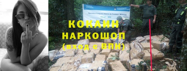 ГАЛЛЮЦИНОГЕННЫЕ ГРИБЫ Балабаново