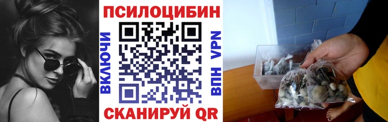 купить  сайты  Холм  МЕГА ONION  Галлюциногенные грибы Psilocybe 